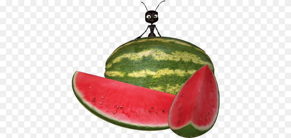 Watermelon Clipart Ant Ant With Watermelon, Food, Fruit, Plant, Produce Free Png Download