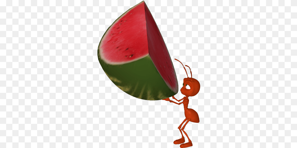 Watermelon Clipart Cantaloupe Watermelon Ant, Produce, Plant, Food, Fruit Free Png Download