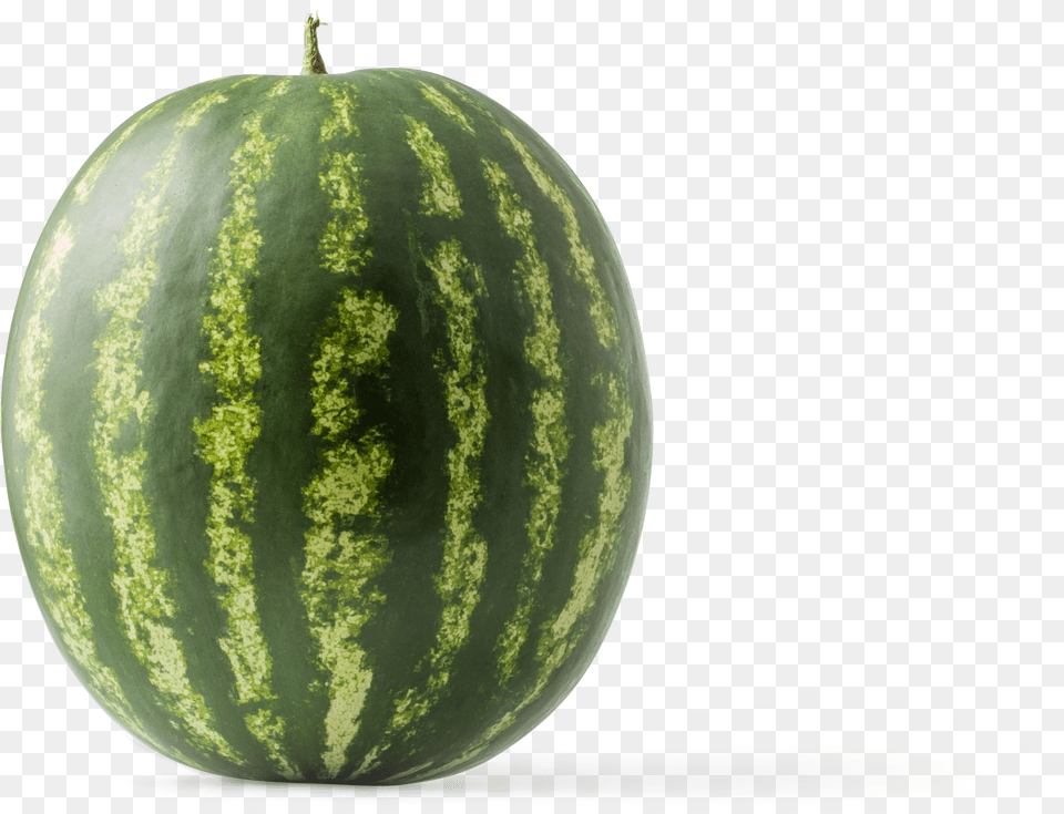 Watermelon Graphic Asset Watermelon Free Transparent Png