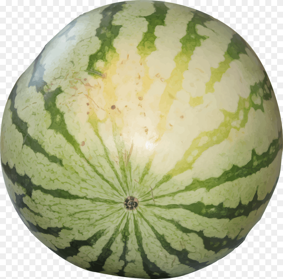 Watermelon Transparent Free Download, Food, Fruit, Plant, Produce Png Image