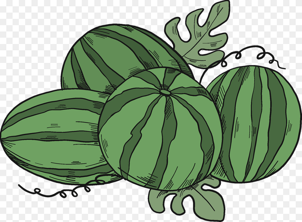 Watermelons Clipart, Produce, Food, Fruit, Plant Png Image