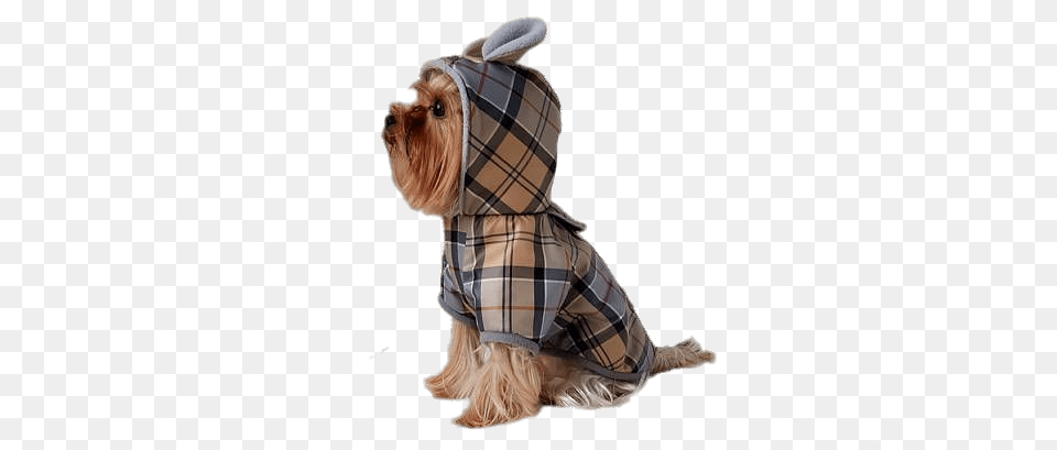 Waterproof Dog Coat, Clothing, Animal, Canine, Mammal Free Png Download