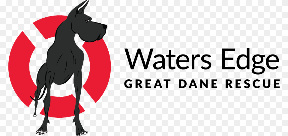 Waters Edge Great Dane Rescue, Animal, Canine, Dog, Great Dane Png Image