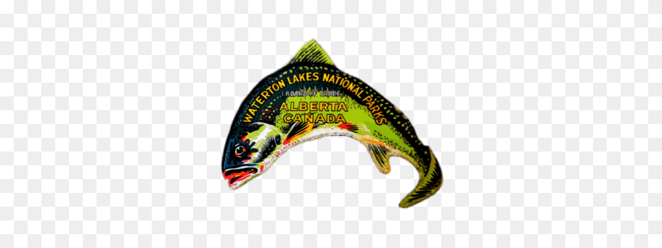 Waterton Lakes National Park Fish Sticker, Animal, Sea Life, Reptile, Snake Free Png Download