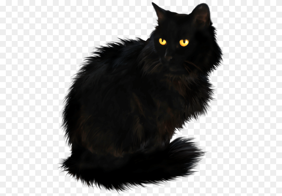 Waving Cat Images Transparent Black British Longhair Cat, Animal, Black Cat, Mammal, Pet Free Png Download