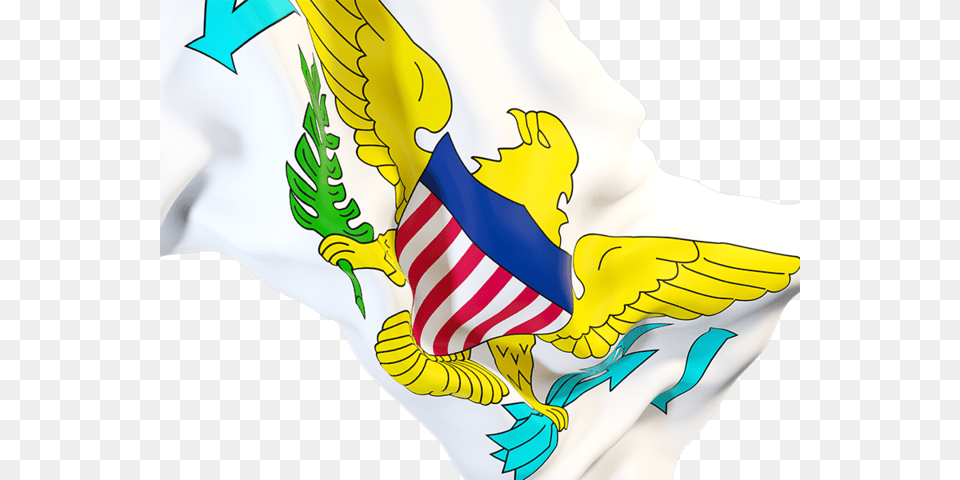 Waving Flag Closeup United States Virgin Islands, Baby, Person Free Png Download