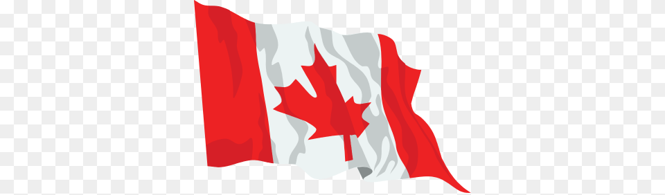 Waving Flag Of Canada Pictures, Leaf, Plant, Baby, Person Png
