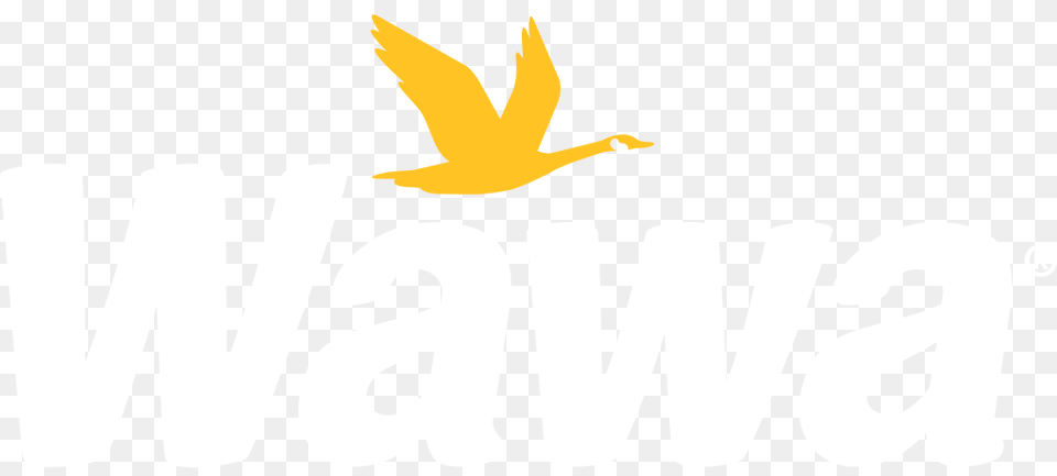 Wawa Logo, Animal, Bird, Flying Free Png