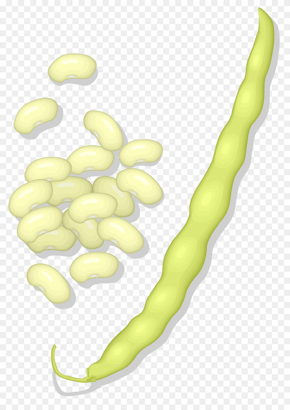 Wax Beans Clipart, Bean, Food, Plant, Produce Png Image