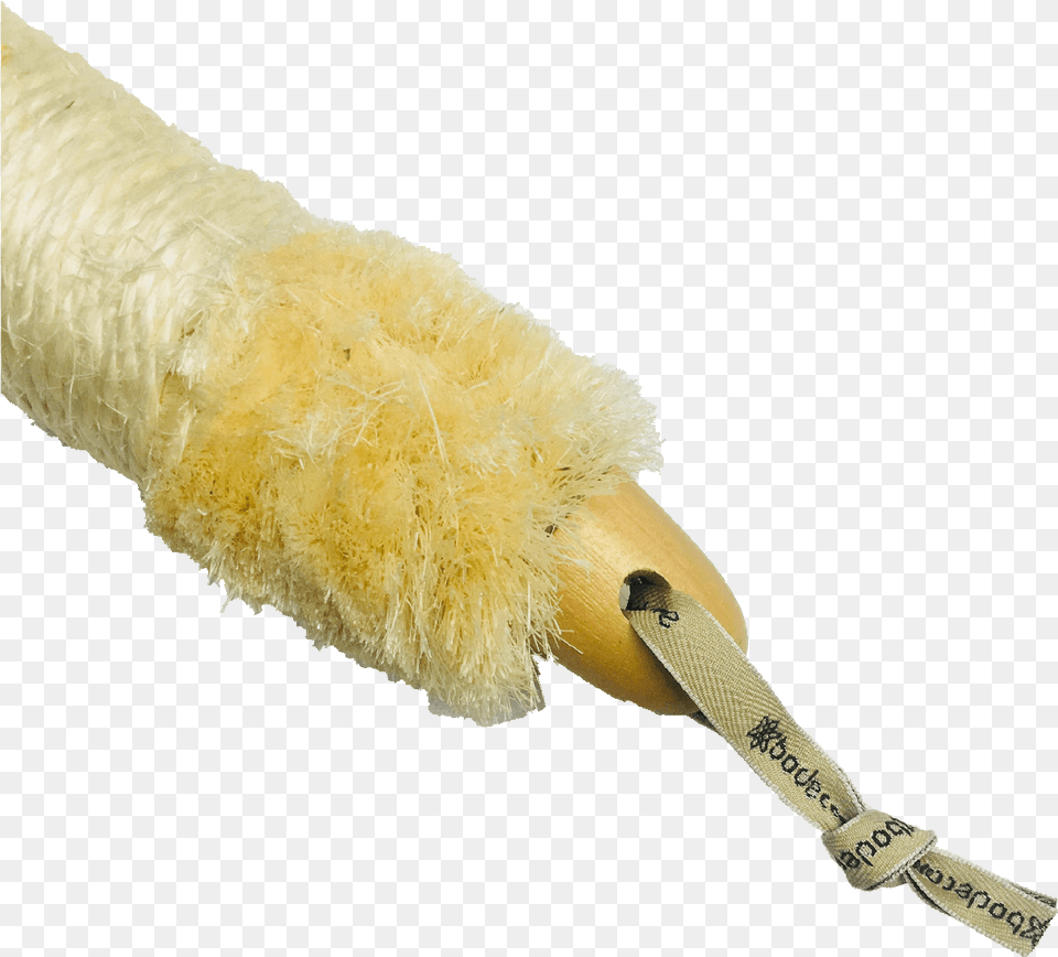 Waxworm, Accessories, Brush, Device, Tool Png Image