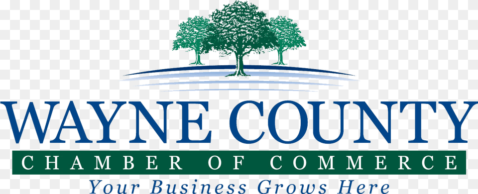 Wayne County Chamber Of Commerce Love Your Chamber Open House One Piece Marine Flag, Vegetation, Tree, Sycamore, Plant Png