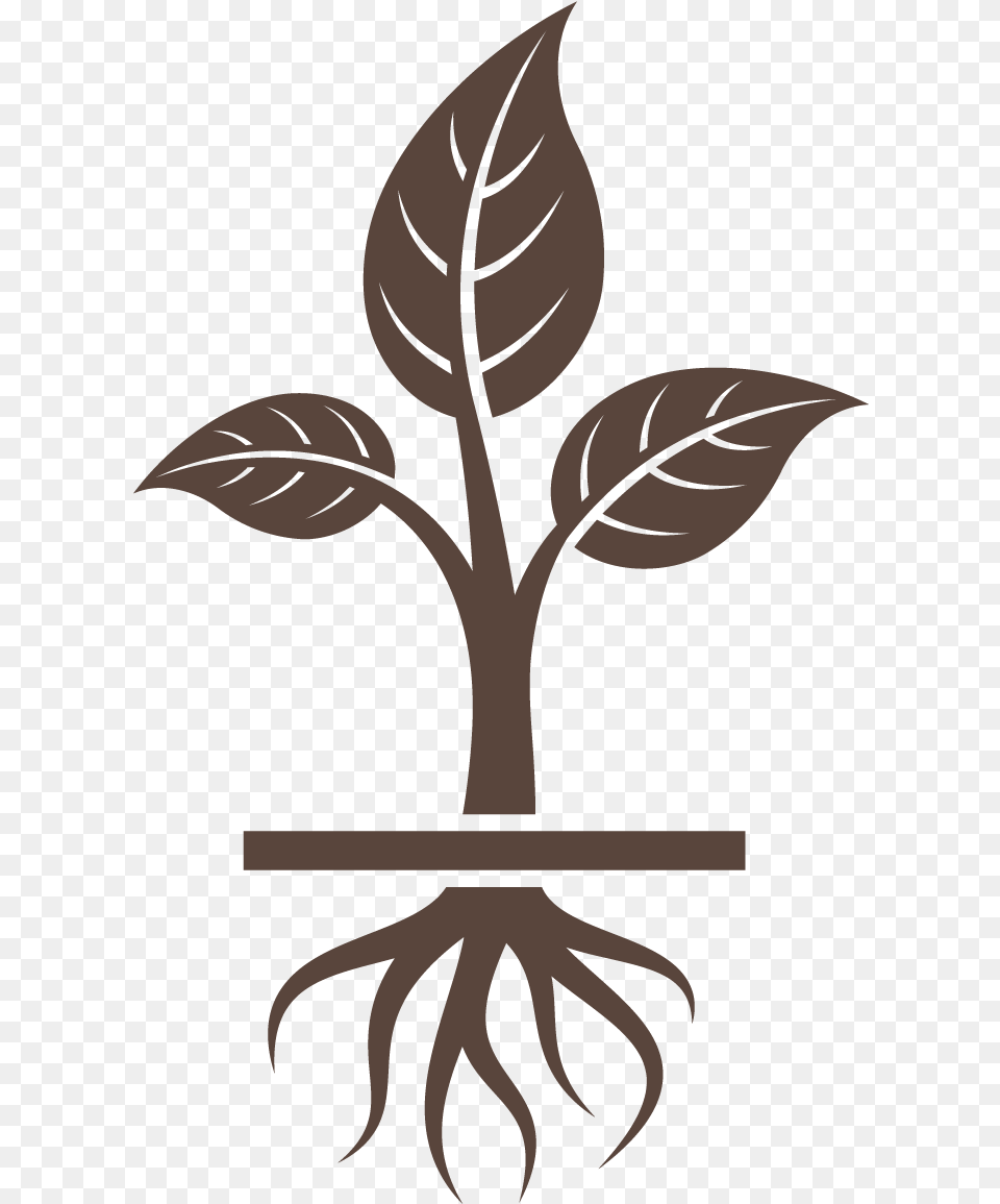 Ways To Grow Business Fast, Leaf, Plant, Person, Stencil Png