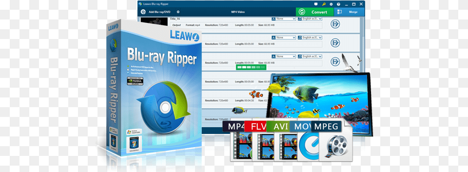Ways To Rip Blu Mpeg, File, Computer Hardware, Electronics, Hardware Free Png