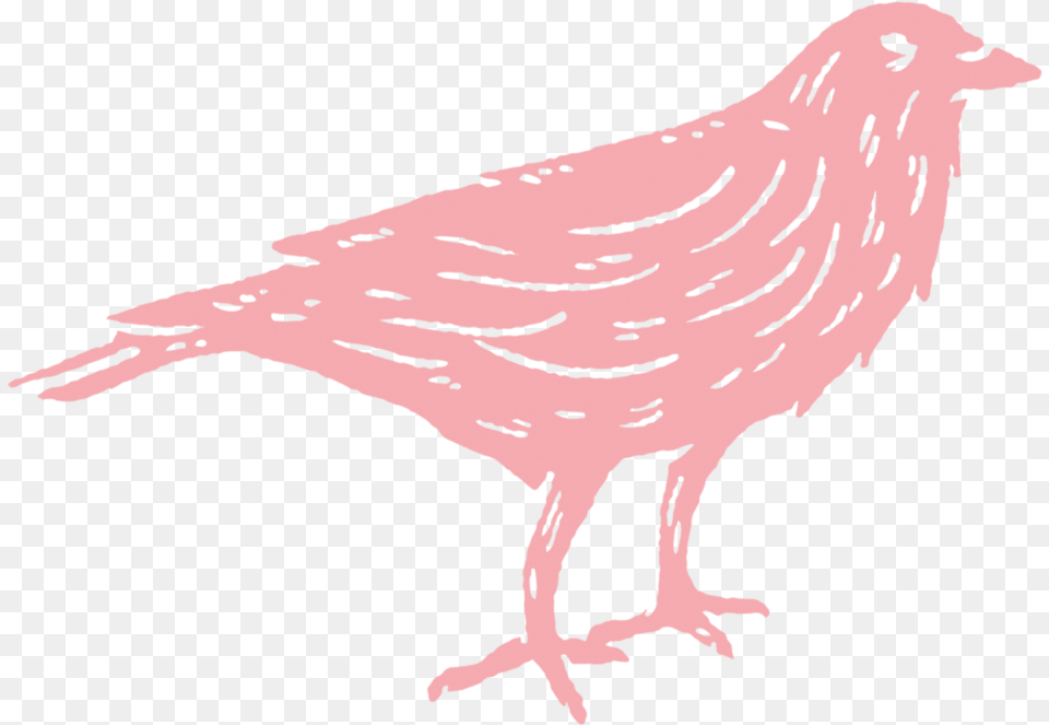 Wc Logo Crow Pink, Person, Animal, Anthus, Bird Png