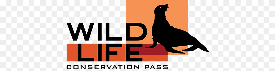 Wcp Logo Sea Lion Wildlife Conservation, Silhouette, Adult, Female, Person Free Png Download