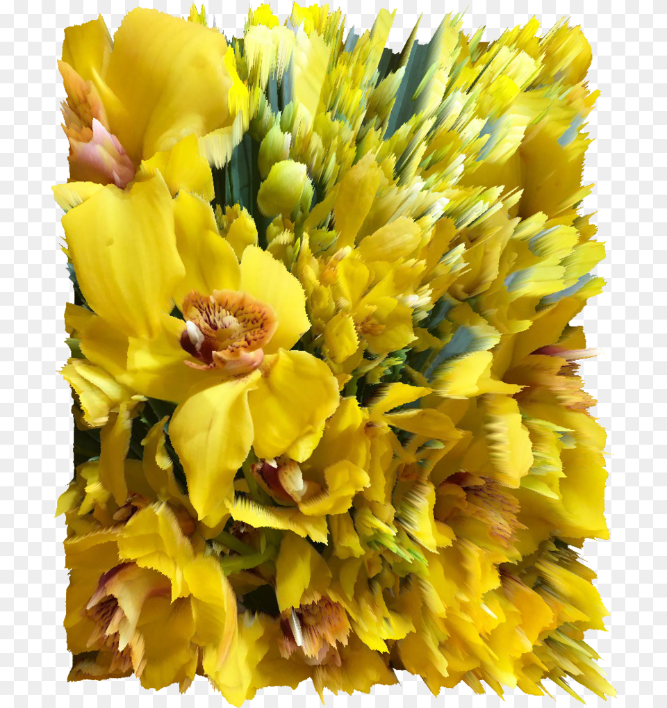 Wdwpf Bouquet, Flower, Flower Arrangement, Flower Bouquet, Petal Free Png Download