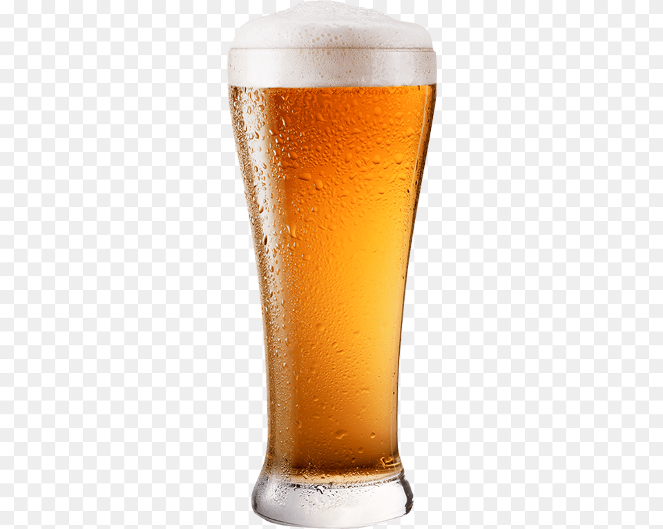 We All Love Beer Glassware Tall Glass Of Beer, Alcohol, Beer Glass, Beverage, Liquor Free Transparent Png