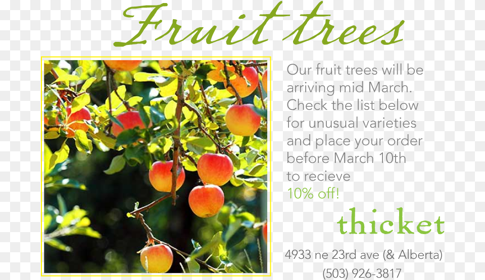 We Are Doing Our Spring Order For Fruit Trees Tree Apple Fruitful Tree, Food, Plant, Produce Png