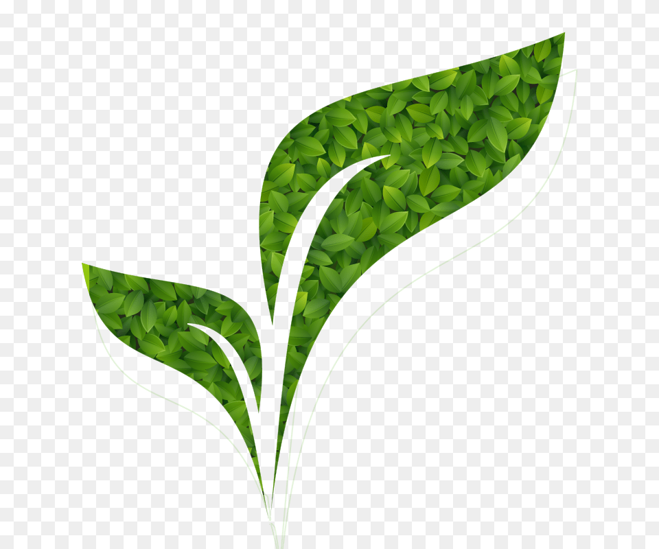 We Are Green Banner, Grass, Leaf, Plant, Vegetation Free Transparent Png