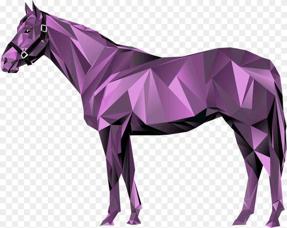 We Are Hyped To Be Launching The Early Release Of Our Thoroughbred, Purple, Animal, Mammal, Adult Png Image
