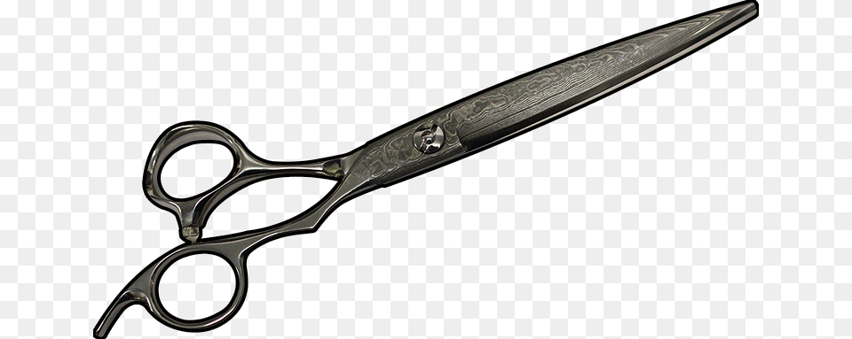 We Are On Sale Scissors, Blade, Shears, Weapon, Razor Free Transparent Png