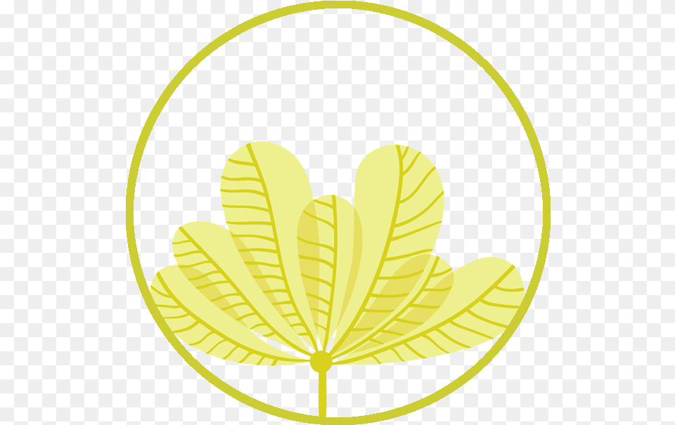 We Are Seaweed Art, Leaf, Plant, Vegetation, Flower Png Image