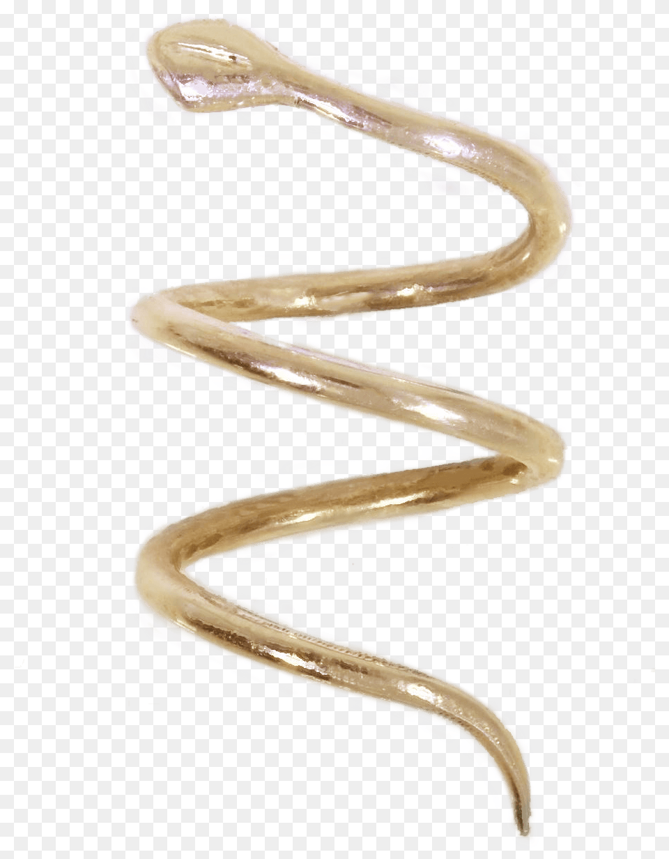 We Are Team Of 9 Dedicated Professionals Designing Bronze, Animal, Sea Life Png Image