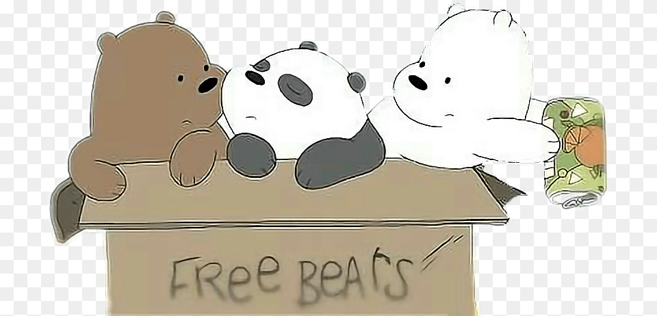 We Bare Bears Box, Head, Person Free Png Download