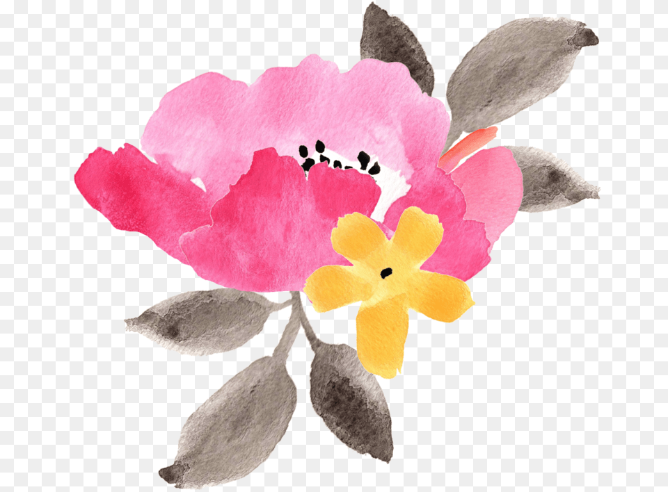 We Do It All Illustration, Anemone, Flower, Petal, Plant Png Image