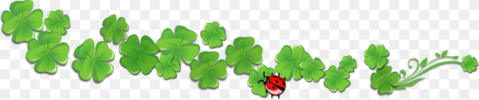 We Don39t Send Pots Of Gold Through The Mail To Our Shamrock, Green, Leaf, Plant, Herbal Png Image