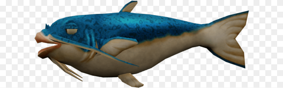 We Fish Animal Figure, Sea Life, Mammal, Shark, Whale Free Png