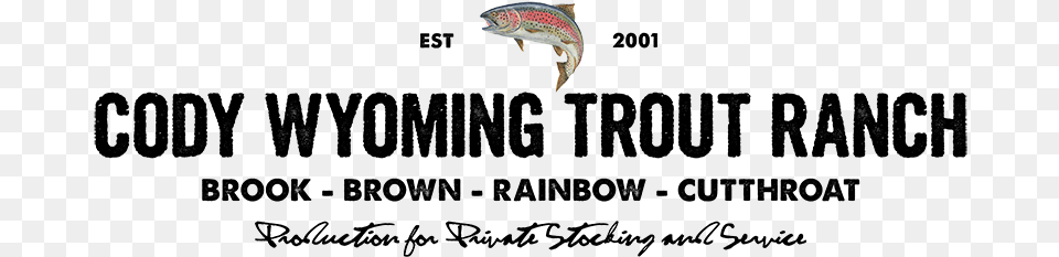 We Have Seven Different Trout Species Available For Sean Garrett Feel Love Album, Animal, Bird, Flying Free Png