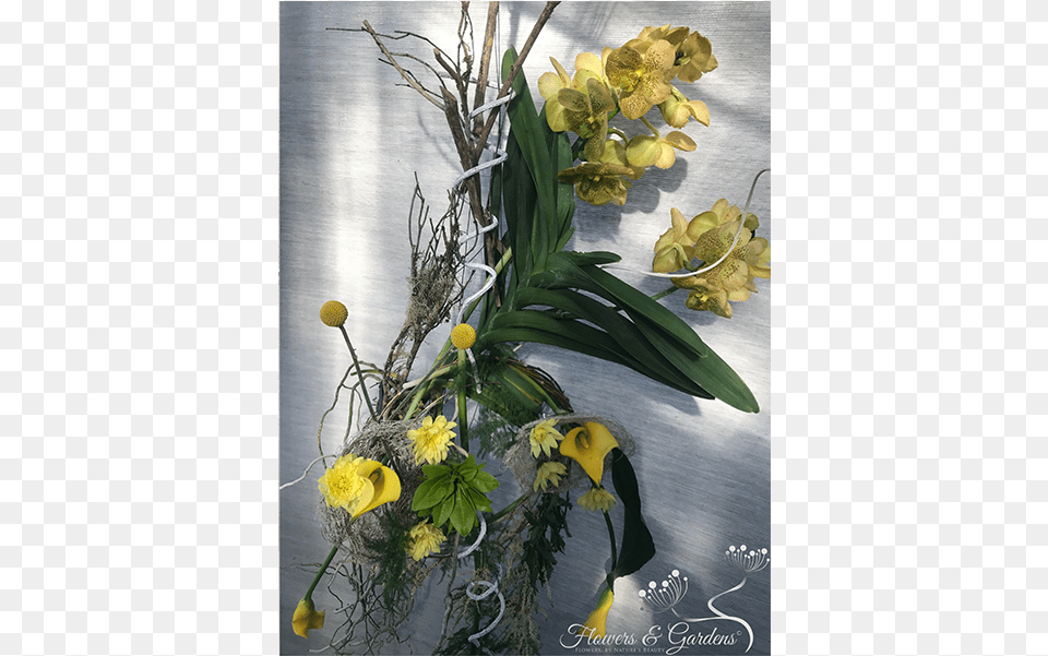 We Invite You To Take A Look At Our Creations In Order Yellow Iris, Plant, Flower Bouquet, Flower Arrangement, Flower Free Png Download