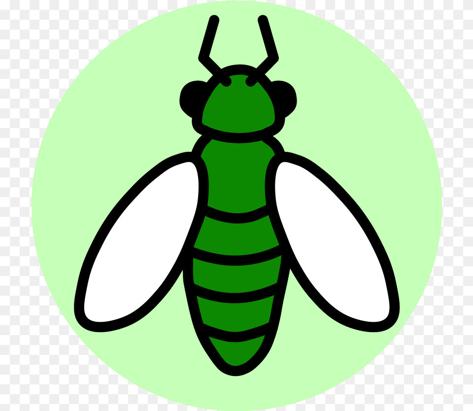 We Love Bugs Insect, Animal, Ammunition, Grenade, Weapon Png