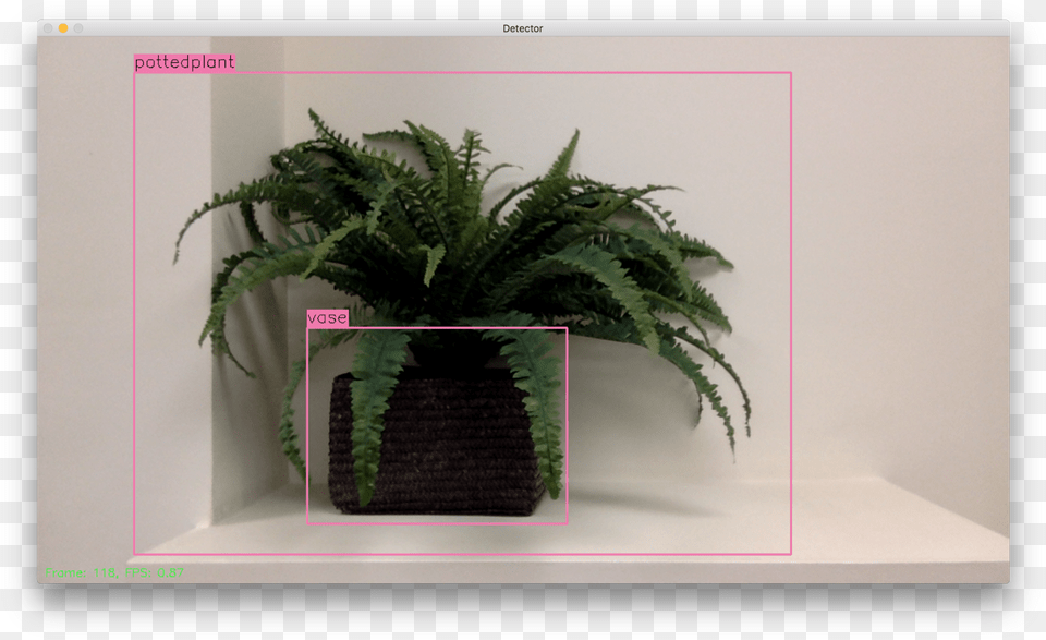 We Needed A Completely Local Solution Running On A Flowerpot, Plant, Potted Plant, Fern, Jar Png Image