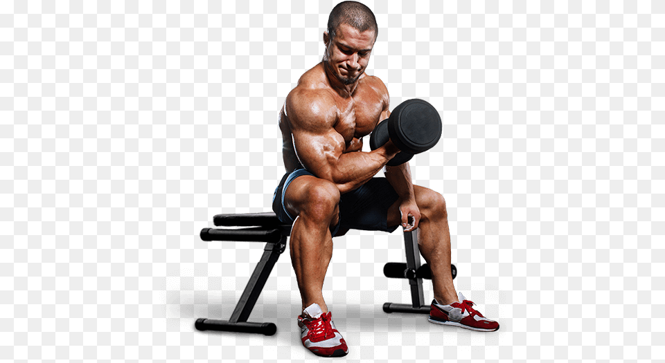 We Provide Man With Dumbbells, Adult, Person, Male, Gym Weights Png