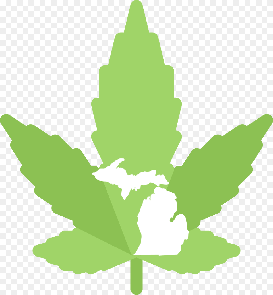 We Re Setting The Standard For Michigan S Cannabis Michigan Music Conference Logo, Leaf, Plant, Baby, Person Free Transparent Png