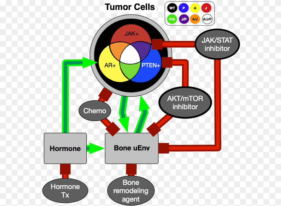 We Recently Published Our Ideas In A Paper In Clinical Diagram, Dynamite, Weapon Free Png Download