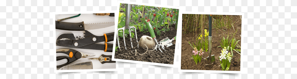 We Stock A Full Range Of Yeoman Garden Tools Desert Rose, Gardening, Nature, Outdoors, Soil Free Png Download