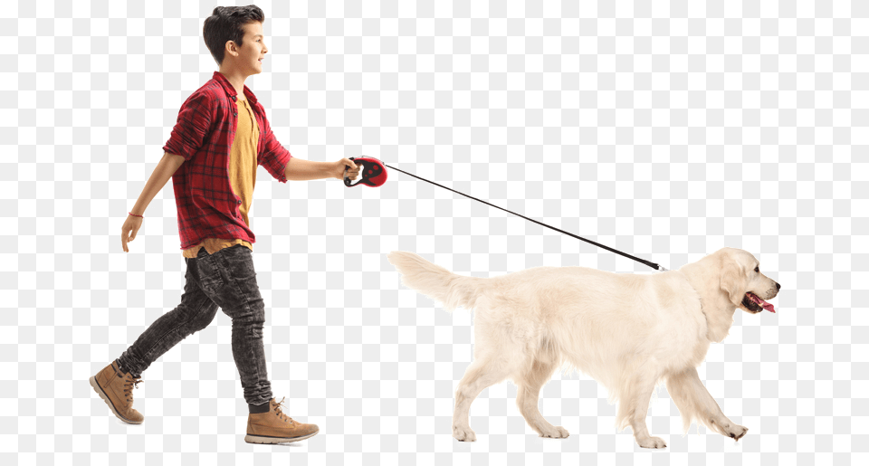 We Take Your Dog For A Walk With Leash Only Unless People Walking With Dog, Mammal, Animal, Boy, Canine Free Png