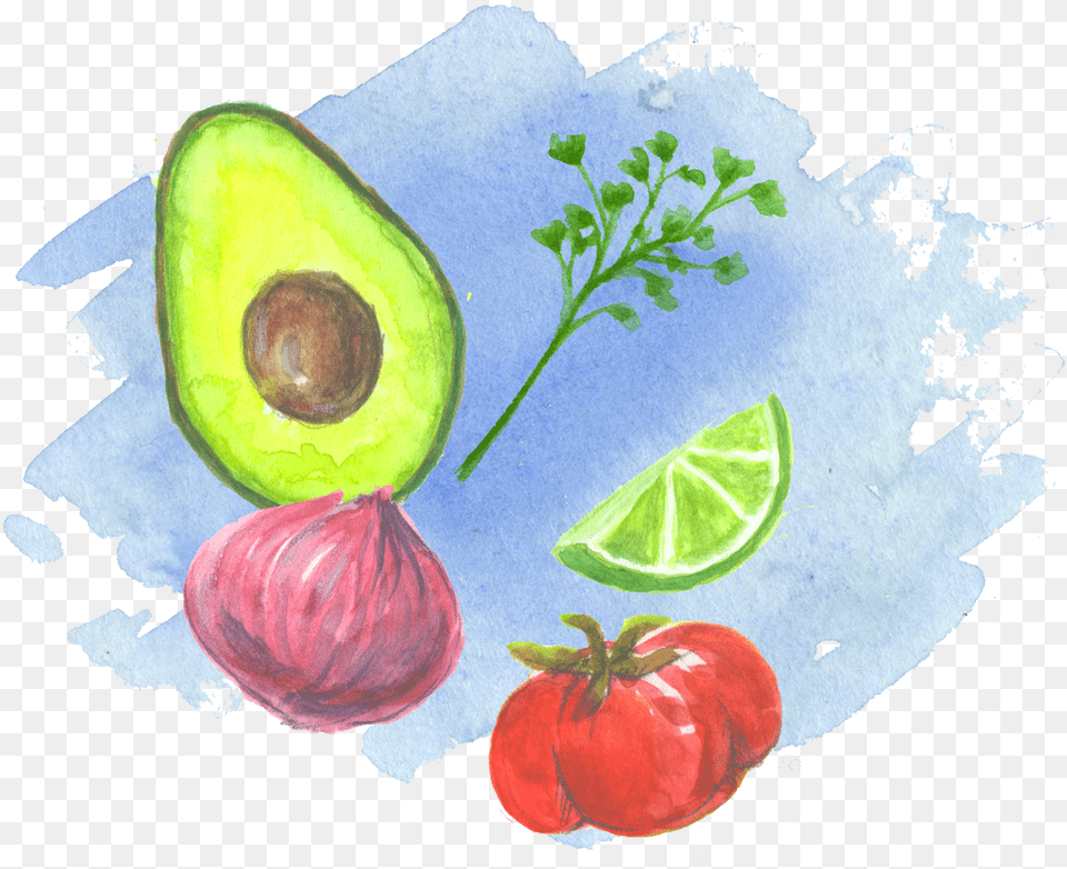 We Used Watercolor To Illustrate The Backs Of The Recipe Watercolor Paint, Food, Fruit, Plant, Produce Free Transparent Png