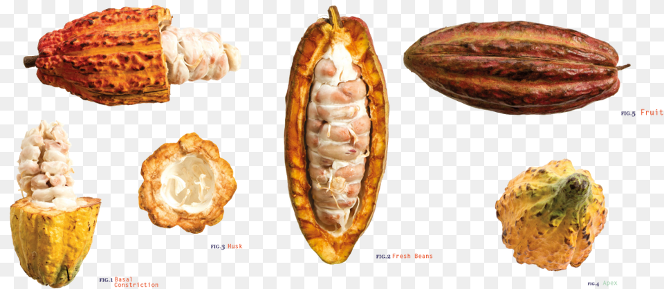 We Want To Be The Essence Of The Bean To Bar Belgian Waffle, Cocoa, Dessert, Food, Cream Png Image