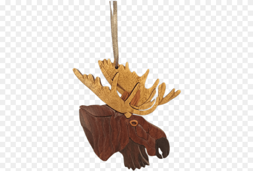 Weapon, Leaf, Plant, Animal, Mammal Png