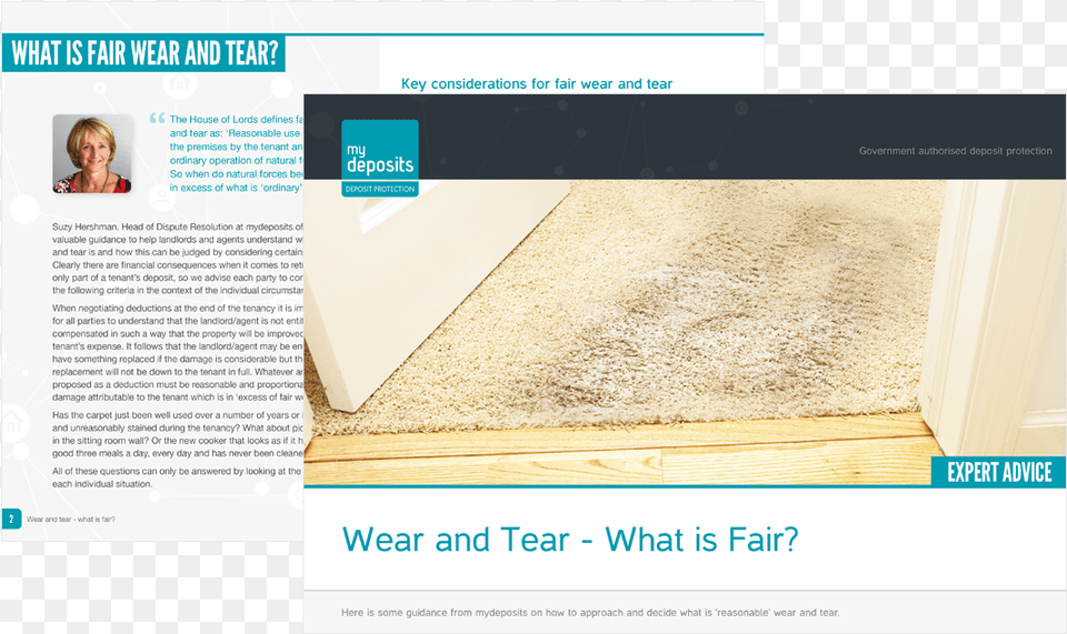 Wear And Tear Plywood, File, Home Decor, Page, Rug Free Transparent Png