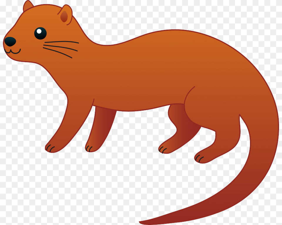 Weasel Clipart, Animal, Mammal, Wildlife, Kangaroo Png