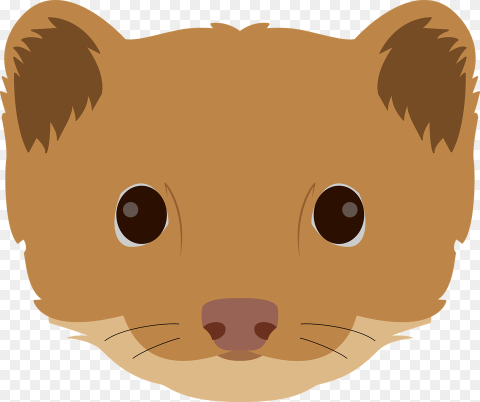 Weasel Face Clipart, Animal, Mammal, Pig, Wildlife Png Image