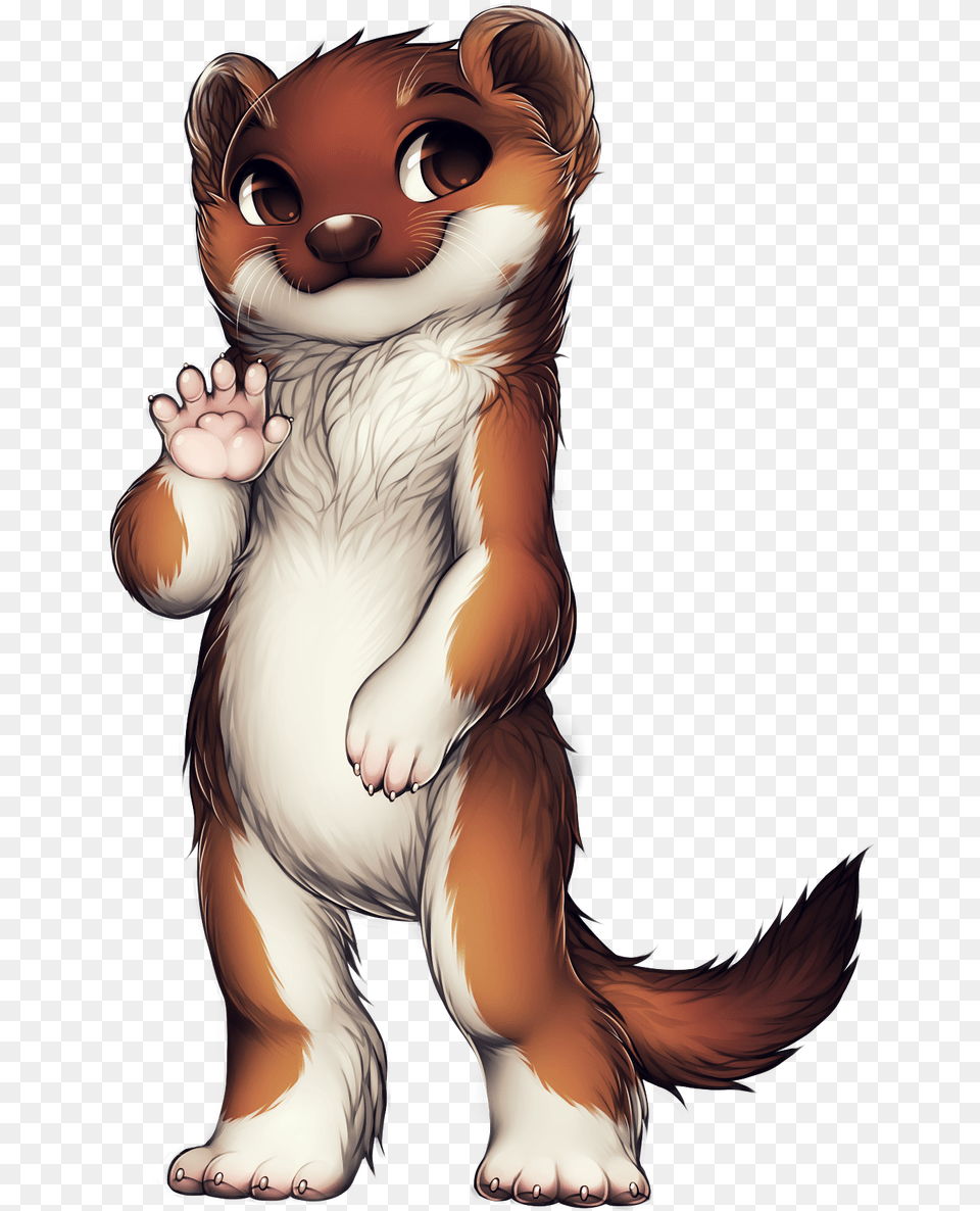 Weasel Furry, Baby, Person, Face, Head Free Png Download