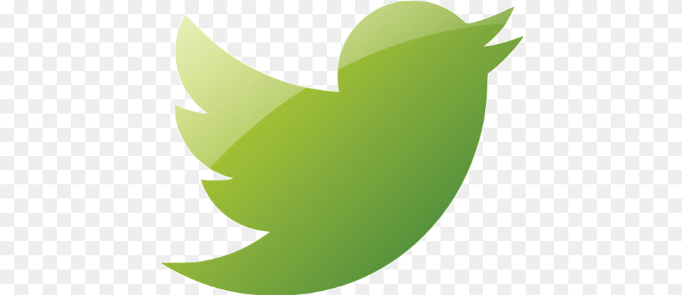 Web 2 Green Twitter Icon Web 2 Green Social Icons Orange Twitter Logo, Leaf, Plant, Animal, Fish Free Transparent Png