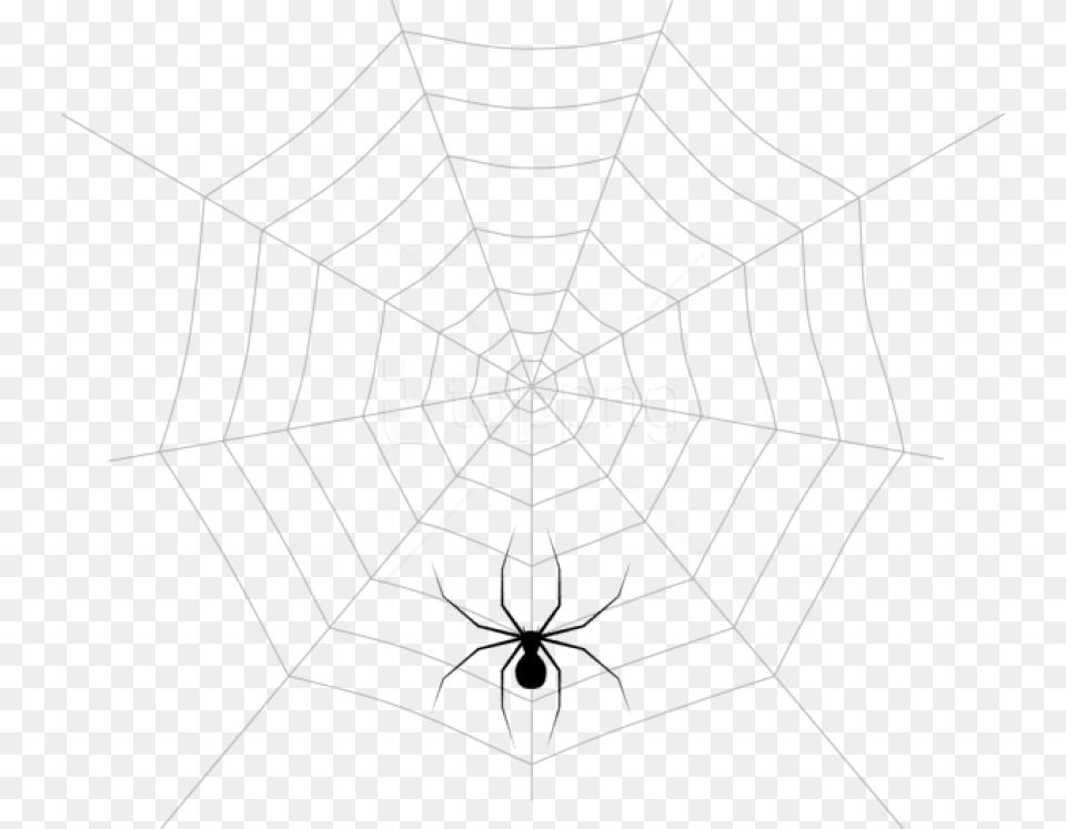 Web And Spider Images Spider Web, Spider Web, Animal, Invertebrate Free Png Download