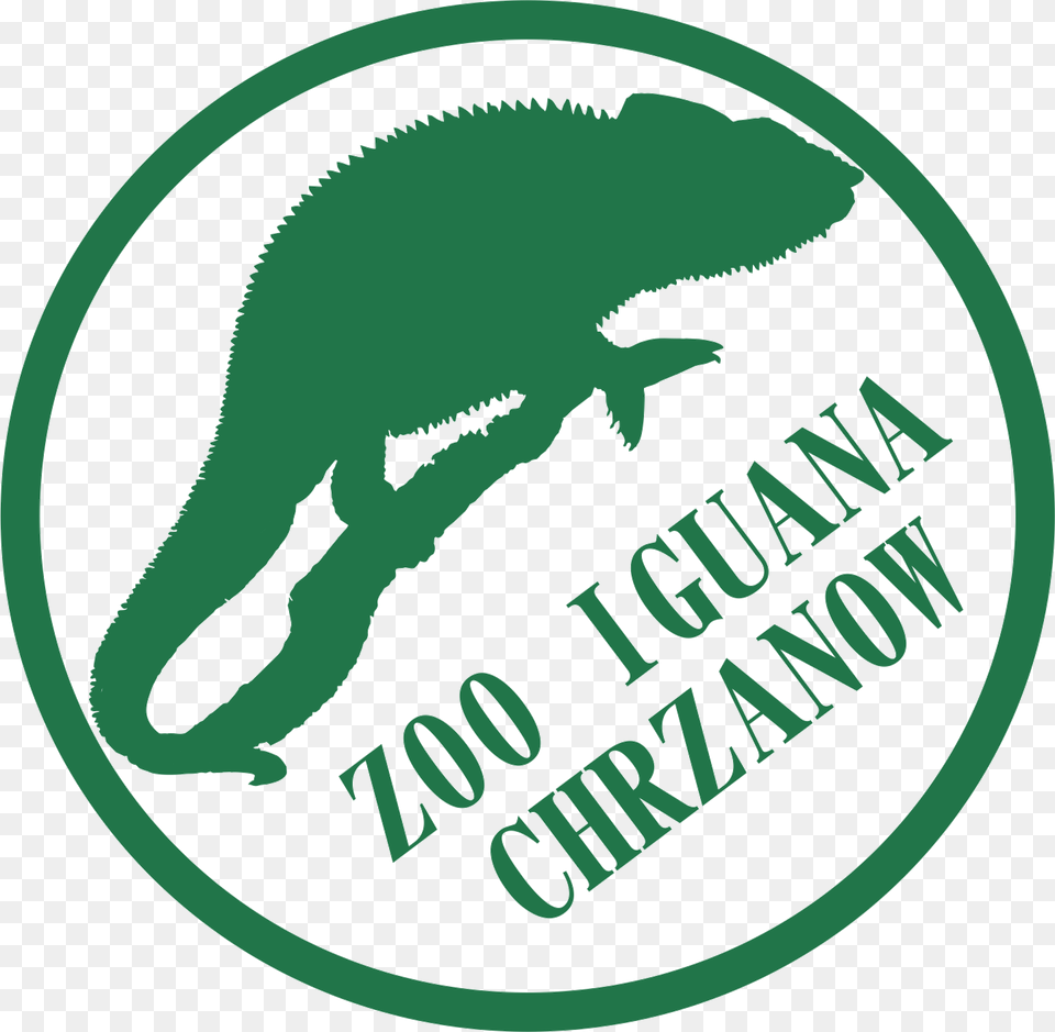 Web Cam Icon, Animal, Iguana, Lizard, Reptile Png Image